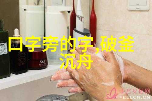 衣无二彩的解释出处造句