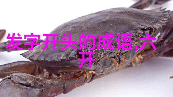 五体投地的解释出处造句