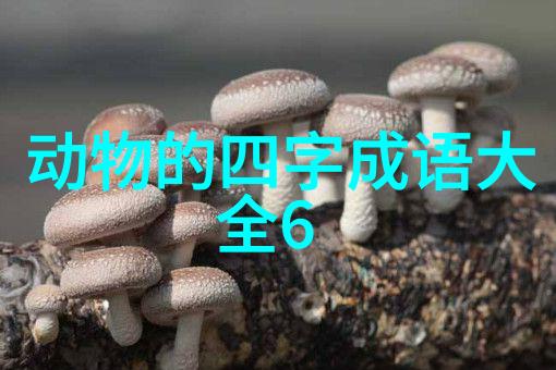 一发破的