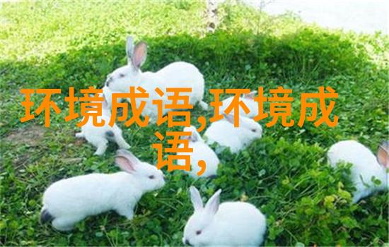 秋风团扇
