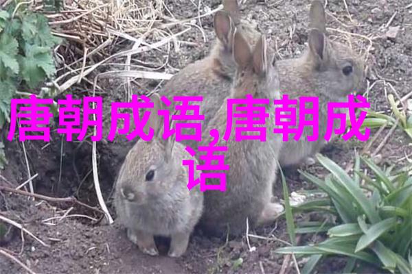 钱可通神的意思出处近义词反义词