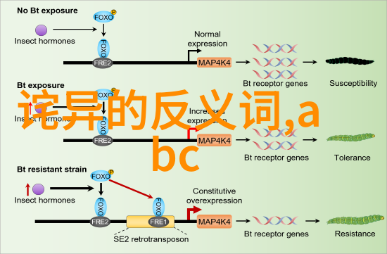 一成不变