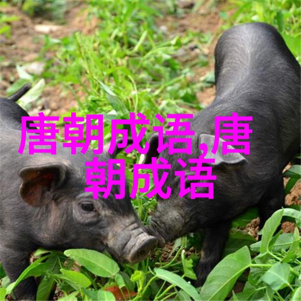 月下老人的意思出处近义词反义词