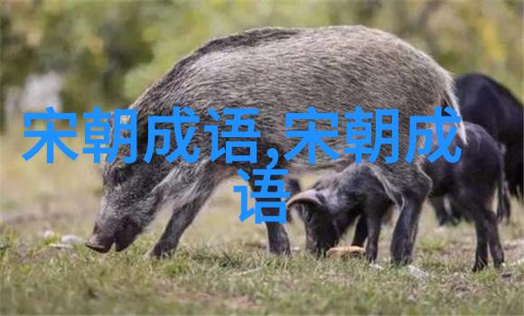 挂羊头卖狗肉