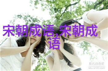 不甚了了的意思出处近义词反义词