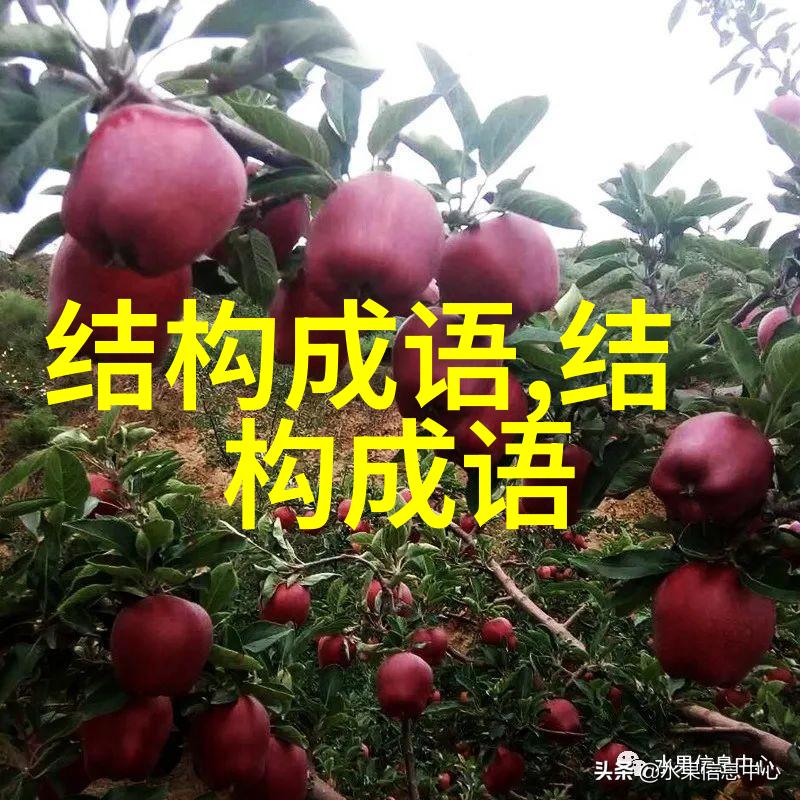 舍经从权