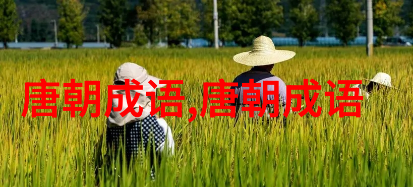 一龙一猪