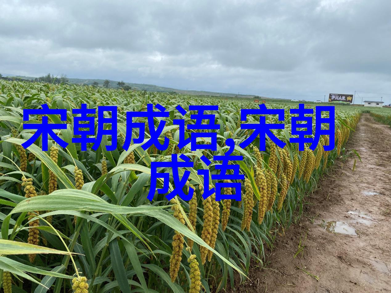 家喻户晓